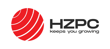 Hzpc -  -  - Phil & Flo Creative Studio