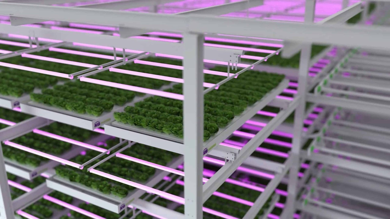 Animatie laten maken phil en flo kg systems 1 scaled - 3D animatie laten maken - Geen categorie - Phil & Flo Creative Studio