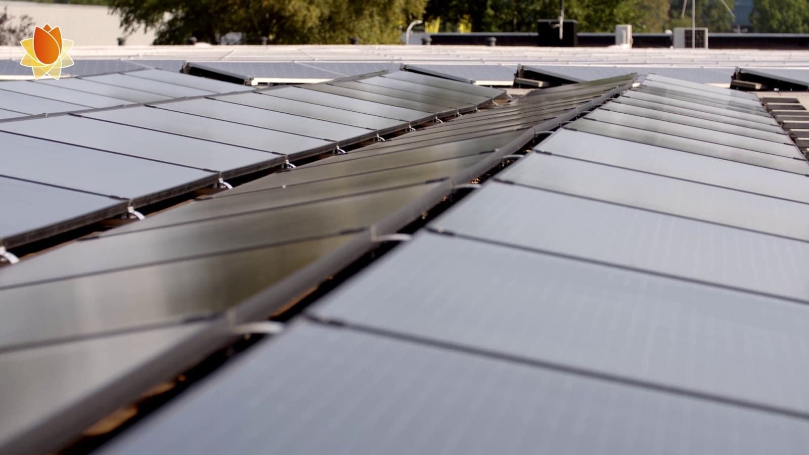 2commercial laten maken phil en flo - Commercial laten maken - Geen categorie - Phil & Flo Creative Studio